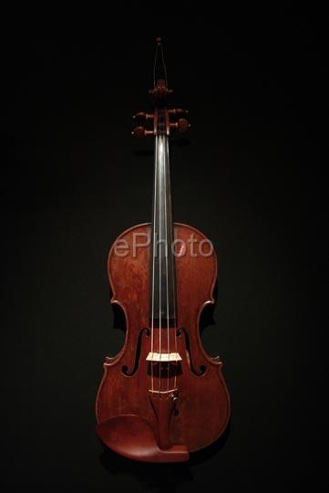 Violon1316.jpg