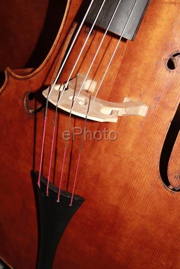 Violon1347.jpg