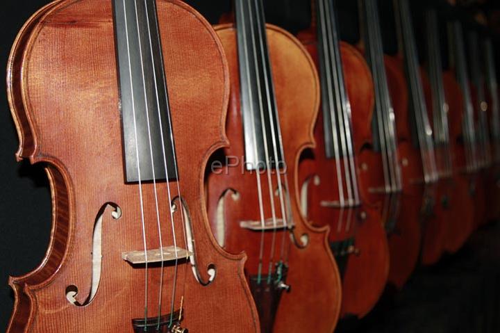 Violon1376.jpg
