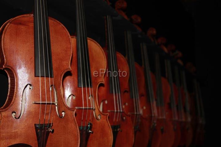 Violon1377.jpg