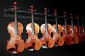 Violon1336