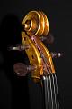 Violon1341