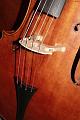 Violon1347