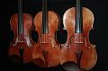 Violon1359