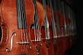 Violon1360